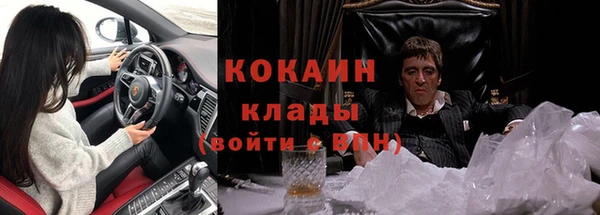 spice Аркадак