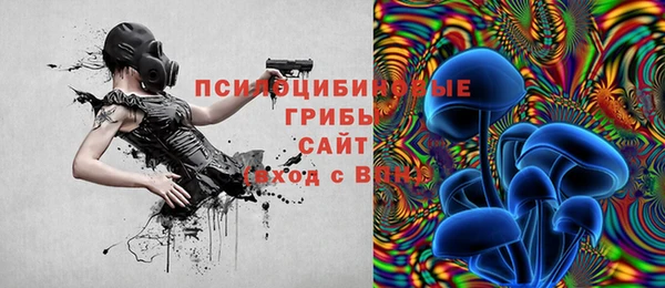 spice Аркадак