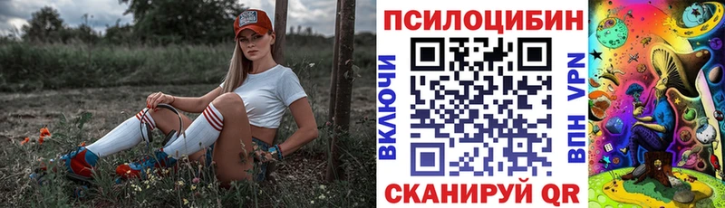 Псилоцибиновые грибы мицелий  продажа наркотиков  Нягань 